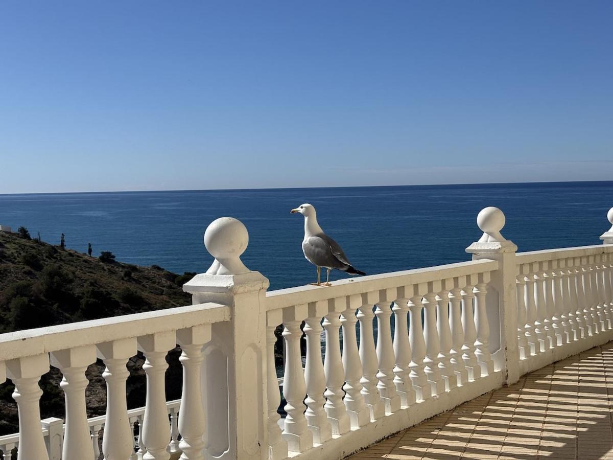 Benidorm, Palm Bay, Levante Appartement Benidorm